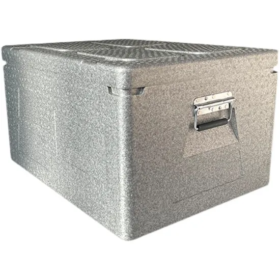 Portable Storage Light Weight Insulated EPP Foam Cooler Box for Food Delivery 