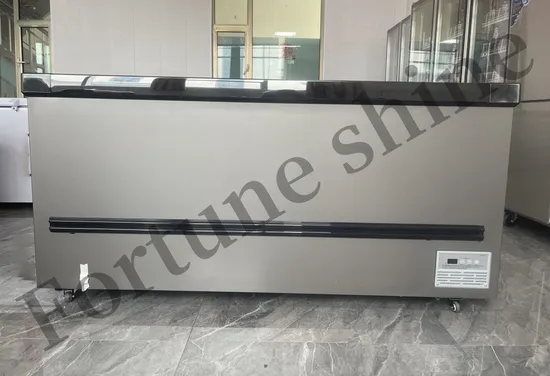 Sliding Glass Door Ice Cream Freezer Display Case Commercial Refrigerator Steel Inner Liner 