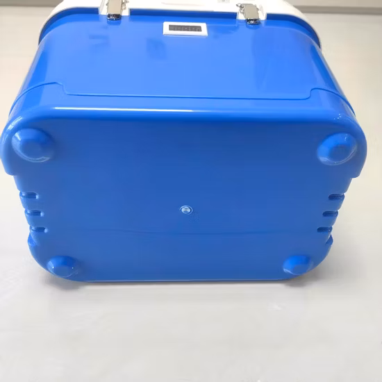 Cold Chain Foldable EPP Foam Flip Box Iceless Insulated Cooler EPP Box