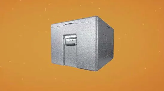 Foam Food Delivery Box EPP Cooler Box 