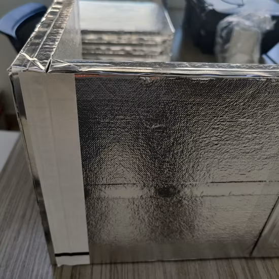 Durable Reusable EPP VIP Cooler Box for Pharmaceutical Temperature Controlled Packaging