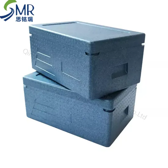 EPP Foam Food Delivery Cooler Box Light Weight Portable Storage Box 