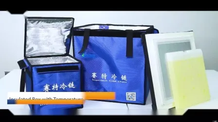 EPP VIP Panel Insulated Biological Cooler Box for Pharma Products 