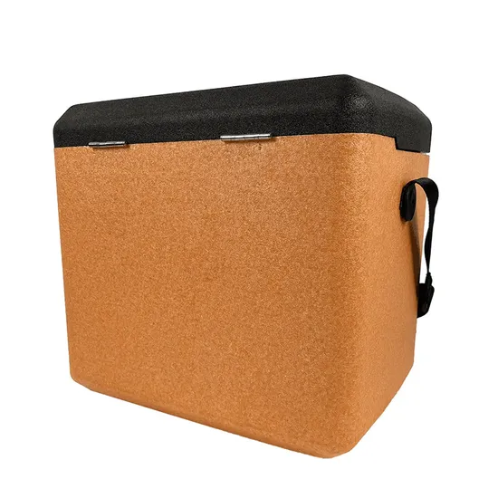 First Choice EPP Cooler Box VIP Cooler Box Linsulated Medical Cooler Box 