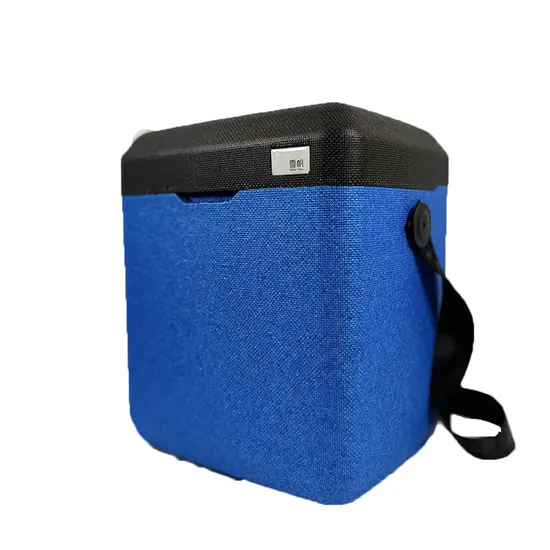 Best Quality EPP Cooler Box Linsulated Medical Cooler Box 