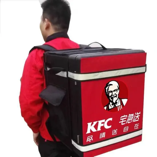 Insulated Backpack Customized EPP Strong Takeaway Storage Cooler Box 
