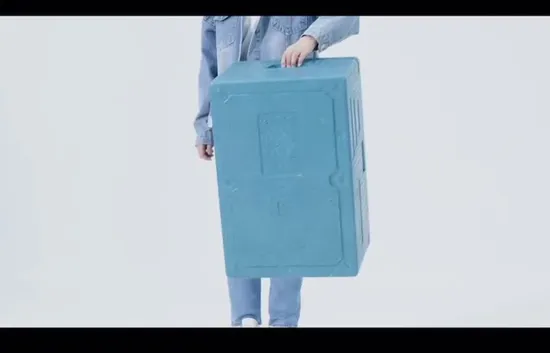 EPP Cooler Box for Car 