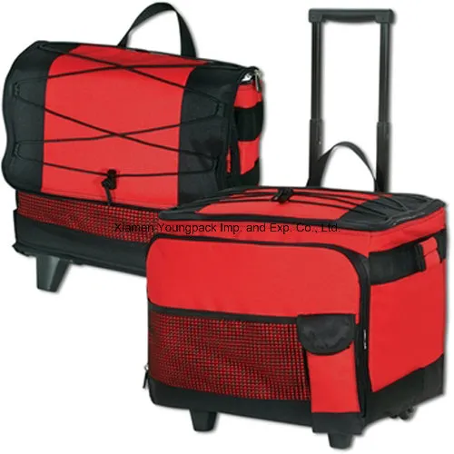 Custom Collapsible 54