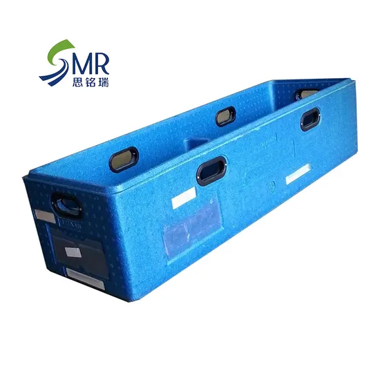 EPP Foam Tote Cooler Box with Handles Delivery Box 