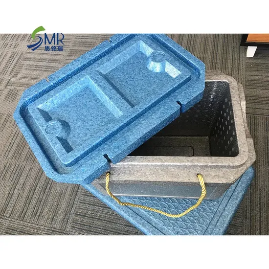 Customizable Logo EPP Lunch Thermal Cooler Box 