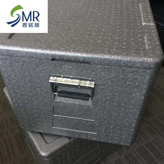 Wholesale Portable Food Delivery EPP Foam Cooler Box 
