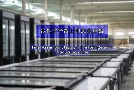 Coke Brand Two Door Display Bottle Cooler with Dynamic Cooling System 