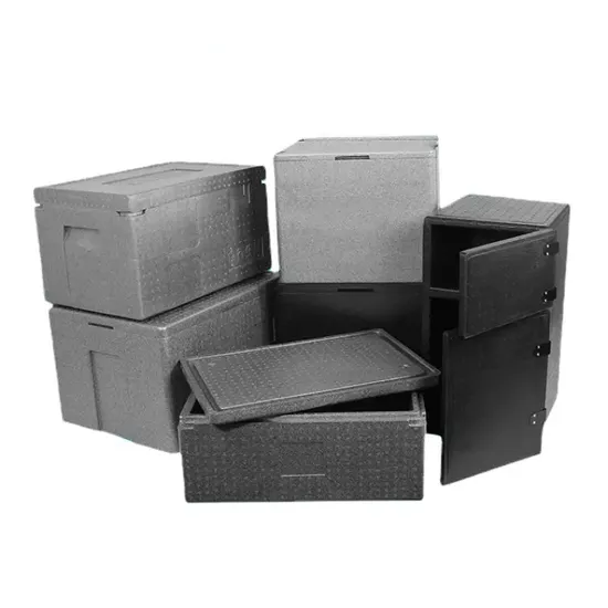Personal Customized EPP Cooler Box Linsulated Medical Cooler Box 